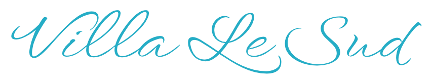 Villa le Sud Logo corrigé